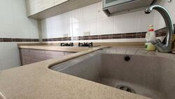 Blk 54 Havelock View (Bukit Merah), HDB 3 Rooms #517236091